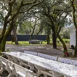Olive House Apartamento