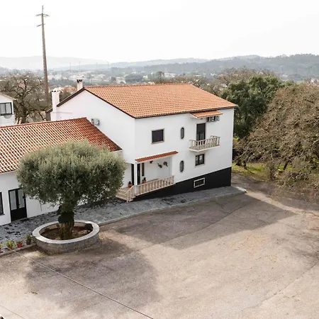 Olive House