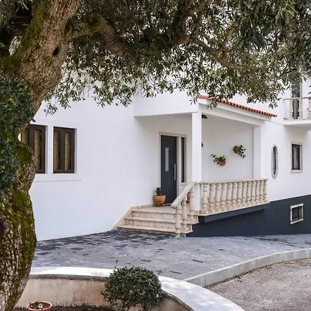 Apartamento Olive House *