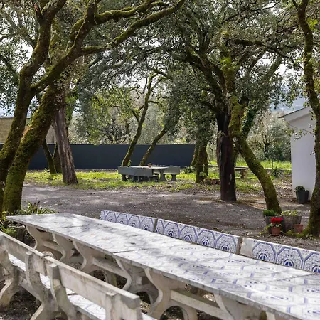 Olive House Apartamento