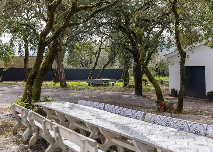 Olive House Apartamento